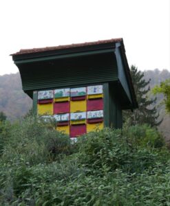 ČD Sežana Kozjanski park.jpg12
