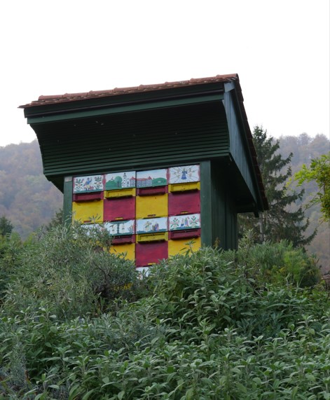 ČD Sežana Kozjanski park.jpg12