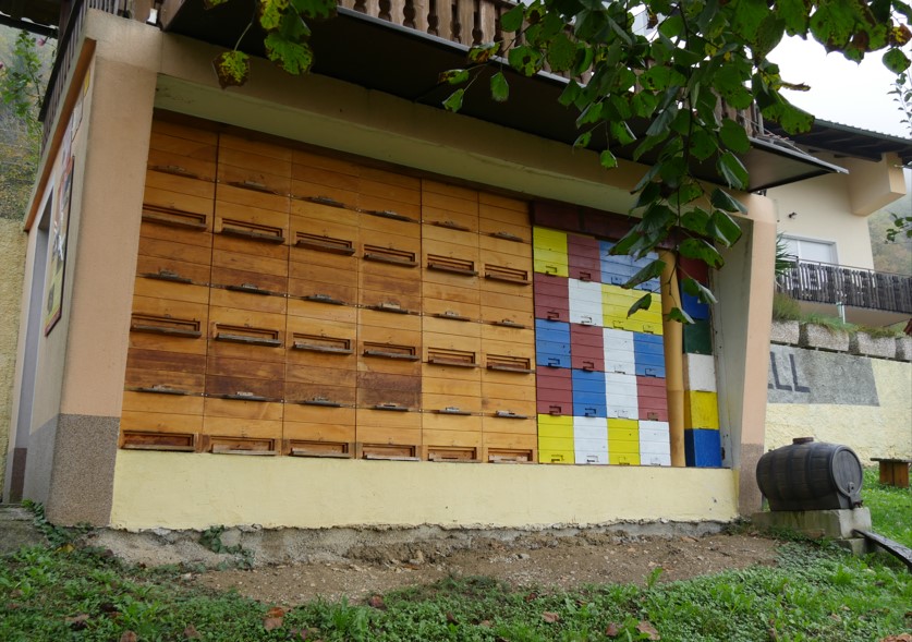 ČD Sežana Kozjanski park.jpg4