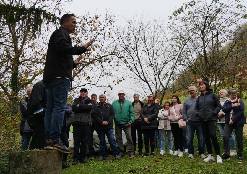 ČD Sežana Kozjanski park.jpg5
