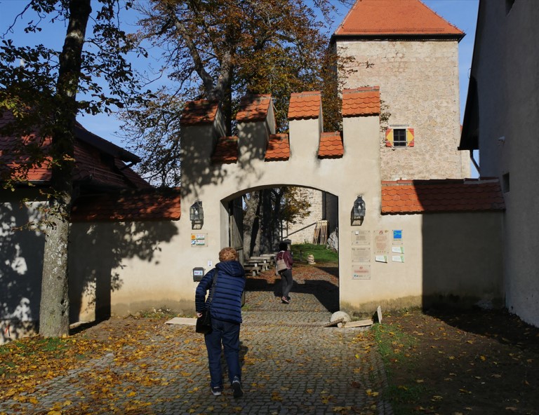 ČD Sežana Kozjanski park.jpg8