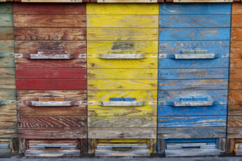 Strokovno ekskurzijo na Gorenjsko